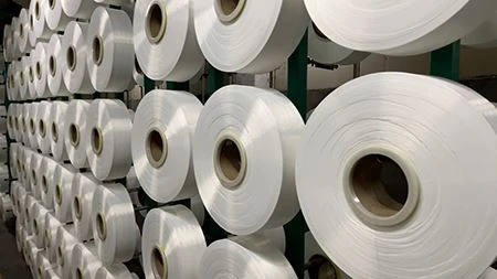 Base Fabric
